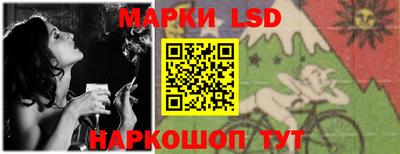 альфа пвп Новодвинск
