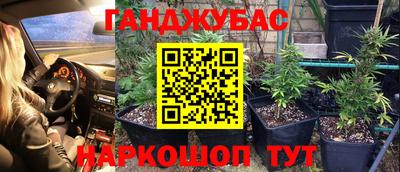 альфа пвп Новодвинск
