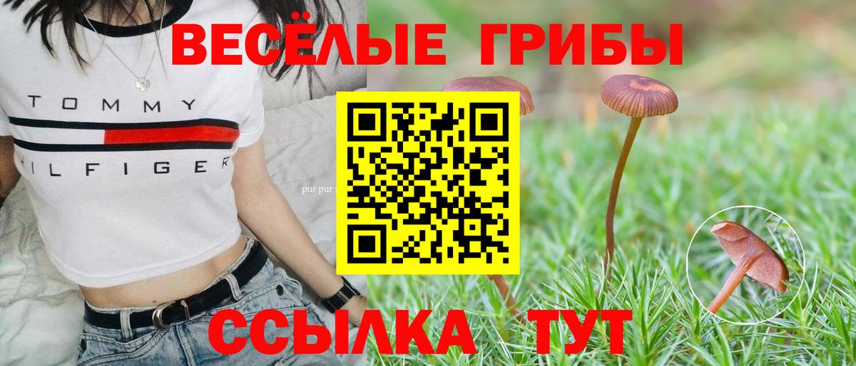 Псилоцибиновые грибы Cubensis  Псилоцибиновые грибы GOLDEN TEACHER  Серпухов  Вход с VPN 